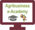 Logo e-Academy